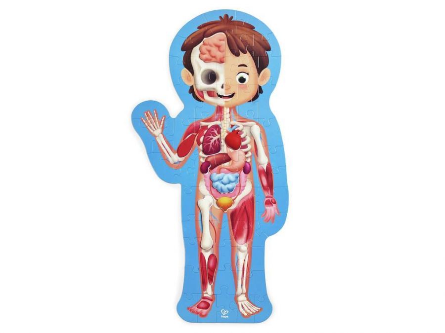 IL CORPO UMANO PER I BAMBINI: Scopri l'anatomia umana - Facile da leggere e  completamente illustrato - enciclopedia del corpo umano per i bambini.